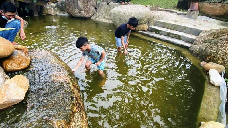 Pulai Spring Resort Kampung Kangkar Pulai Экстерьер фото